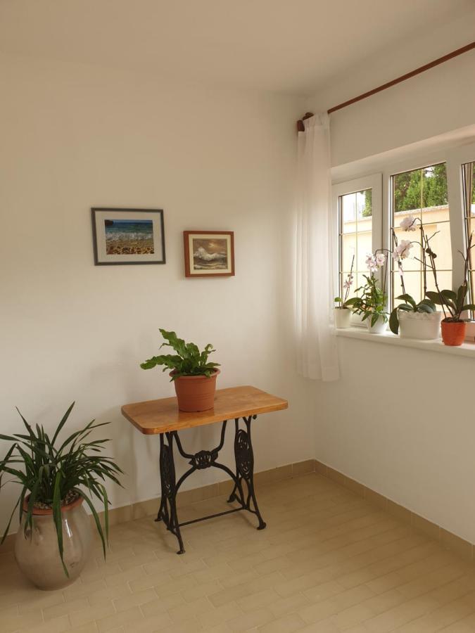 Apartments Davorka Banjol Dış mekan fotoğraf